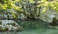 Landscape on the upper course of the river Gilort, Romania Royalty Free Stock Photo