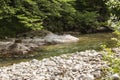 Landscape on the upper course of the river Gilort, Gorj, Romania. Royalty Free Stock Photo