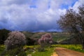 Landscape of Upper Galilee near Dishon North Israel