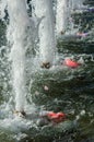 landscape urban. Urban swimming pool, fountains with illuminated Royalty Free Stock Photo