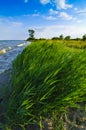 Landscape from Usedom island