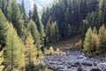 Landscape in the Val Trupchun in the Swiss National Park Royalty Free Stock Photo