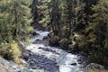 Landscape in the Val Trupchun in the Swiss National Park Royalty Free Stock Photo