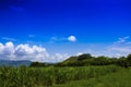 Landscape of valle del cauca en colombia