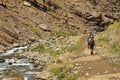 Hiking in a valley located in Alborz mountains , Iran