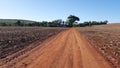 Landscape with varied cultivation area of soybean, corn, wheat, soro, and oat farming, with red soil from northern ParanÃÂ¡, Brazil