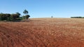 Landscape with varied cultivation area of soybean, corn, wheat, sorva, and oats, with red soil from the north of ParanÃÂ¡, Brazil,