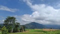 Landscape vegetable plantation with Mountain with green nature and blue sky