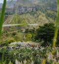 Landscape of vegetation and mountains and some local dwellings of the Paul Valley. Cultivated sugarcane, coffee and Royalty Free Stock Photo