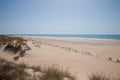 Landscape Vejer Beach in Cadiz Royalty Free Stock Photo