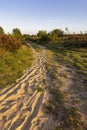 Landscape Veluwe nature reserve The Netherlands Royalty Free Stock Photo