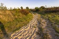 Landscape Veluwe nature reserve The Netherlands Royalty Free Stock Photo