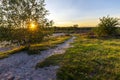 Landscape Veluwe nature reserve The Netherlands Royalty Free Stock Photo