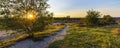 Landscape Veluwe nature reserve The Netherlands Royalty Free Stock Photo