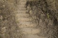Landscape with the vertical earthen gouged steps