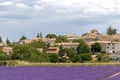 Landscape with vibrant purple Lavender field and typical village of Southern France in distance at blooming season Royalty Free Stock Photo