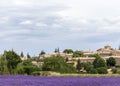 Landscape with vibrant purple Lavender field and typical village of Southern France in distance at blooming season Royalty Free Stock Photo