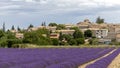 Landscape with vibrant purple Lavender field and typical village of Southern France in distance at blooming season Royalty Free Stock Photo