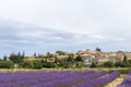 Landscape with vibrant purple Lavender field and typical village of Southern France in distance at blooming season Royalty Free Stock Photo