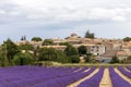 Landscape with vibrant purple Lavender field and typical village of Southern France in distance at blooming season Royalty Free Stock Photo