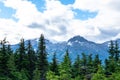 Landscape view of alpine trees and snow covered mountains Royalty Free Stock Photo