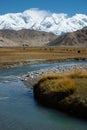 Landscape view, autumn grassland for yak feed with stream and beautiful snowy mountain range background at Xinjiang Royalty Free Stock Photo