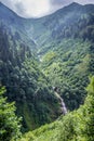 Landscape view of Ayder Plateau in Rize,Turkey Royalty Free Stock Photo