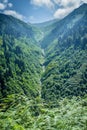 Landscape view of Ayder Plateau in Rize,Turkey Royalty Free Stock Photo