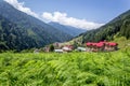 Landscape view of Ayder Plateau in Rize,Turkey Royalty Free Stock Photo