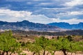 Landscape view of Barinas near Murcia in Spain Royalty Free Stock Photo