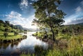 Beautiful natural landscape with green mountains, blue sky, trees, sunlight, water, and flowers in the morning Royalty Free Stock Photo