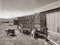 Bodie Goldmine Waggon Royalty Free Stock Photo