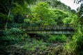 Landscape view of the bridge in the tropics. Waimea Falls, Oahu Hawaii Royalty Free Stock Photo