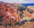 Bryce Canyon in the spring Royalty Free Stock Photo