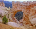 Bryce Canyon in the spring Royalty Free Stock Photo