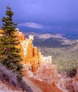 Bryce Canyon in the spring Royalty Free Stock Photo
