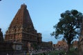 Landscape view of cholas palace