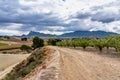 Landscape view of Cieza near Murcia in Spain