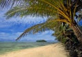 Landscape view of coconut palm trees in Muri lagoon in Rarotong