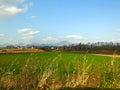 Landscape view of countryside grass field, tree with sky blue and cloud Royalty Free Stock Photo