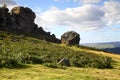 Landscape view of the cow and calf rocks Royalty Free Stock Photo