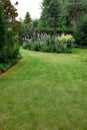 Landscape view of a cultivated garden with plants and trees in a home backyard. Neat, calm and freshly mowed green lawn