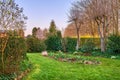 Landscape view of cultivated garden in serene, peaceful private or secluded backyard at home. Neat, calm and freshly