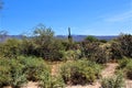 Landscape view of, Maricopa County, Rio Verde, Arizona Royalty Free Stock Photo