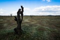 Landscape view desert