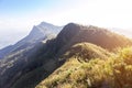 Landscape view of Doi Pha Tang mountain Chiang Rai, Thailand. Royalty Free Stock Photo