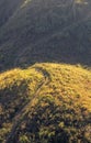 Landscape view of Doi Pha Tang mountain with Mekong river in afternoon Chiang Rai, Thailand.