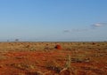 Landscape view of a dried savanna field