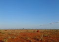 Landscape view of a dried savanna field