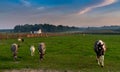 Landscape view of farm pasture and fields with donkeys and horses and goats under a colorful sunset sky Royalty Free Stock Photo